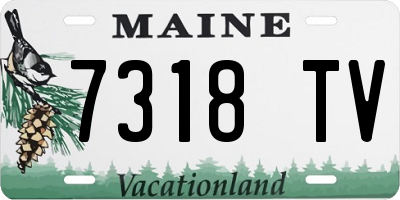 ME license plate 7318TV