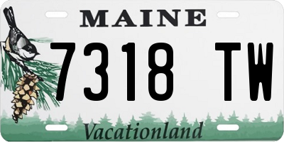 ME license plate 7318TW