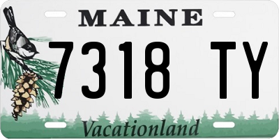 ME license plate 7318TY