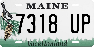 ME license plate 7318UP