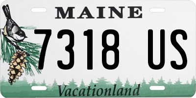 ME license plate 7318US