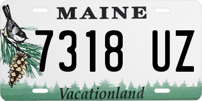 ME license plate 7318UZ