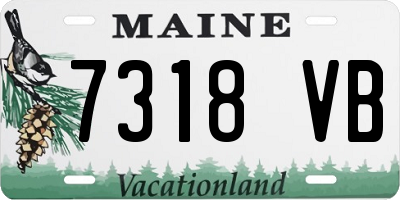 ME license plate 7318VB