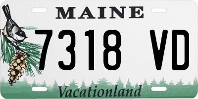 ME license plate 7318VD