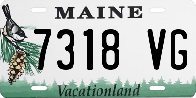 ME license plate 7318VG