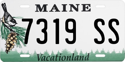 ME license plate 7319SS