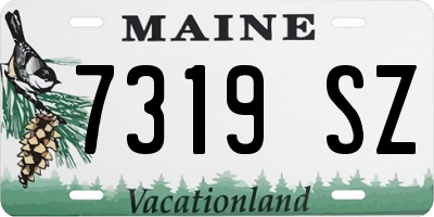 ME license plate 7319SZ