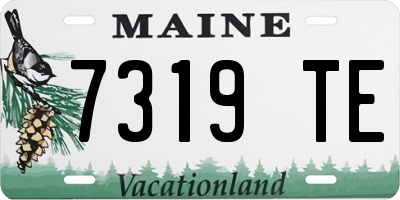 ME license plate 7319TE