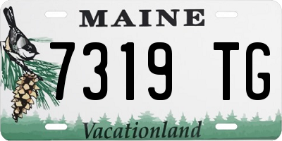 ME license plate 7319TG