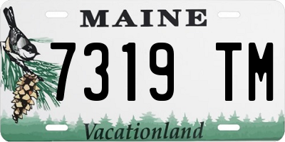 ME license plate 7319TM