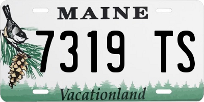 ME license plate 7319TS