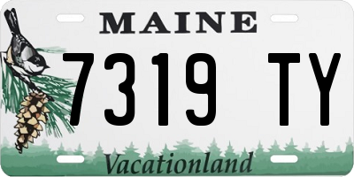 ME license plate 7319TY