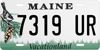 ME license plate 7319UR