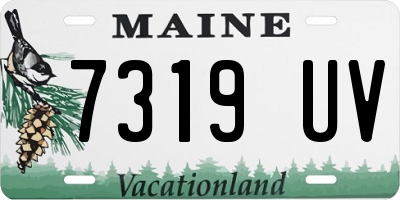 ME license plate 7319UV