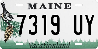 ME license plate 7319UY