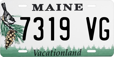 ME license plate 7319VG