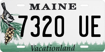 ME license plate 7320UE