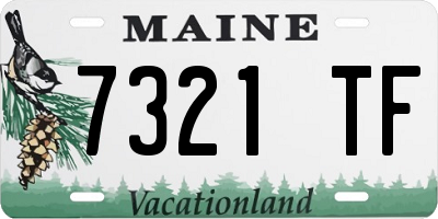 ME license plate 7321TF