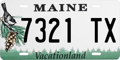 ME license plate 7321TX