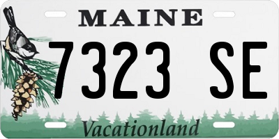 ME license plate 7323SE
