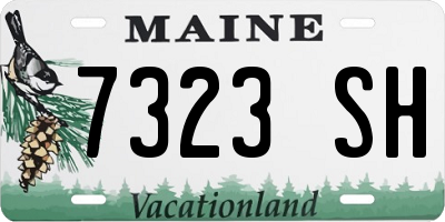 ME license plate 7323SH