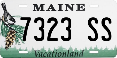 ME license plate 7323SS