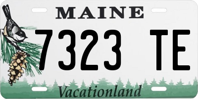 ME license plate 7323TE