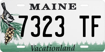 ME license plate 7323TF