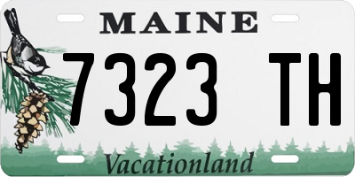 ME license plate 7323TH