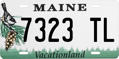ME license plate 7323TL