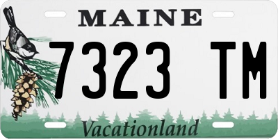 ME license plate 7323TM