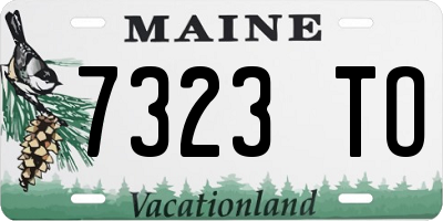 ME license plate 7323TO