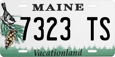 ME license plate 7323TS