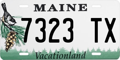 ME license plate 7323TX