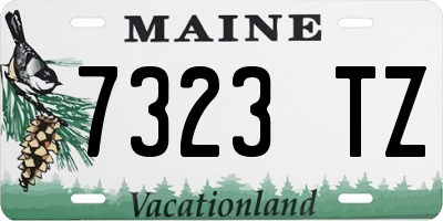 ME license plate 7323TZ