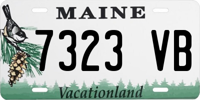 ME license plate 7323VB