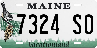 ME license plate 7324SO