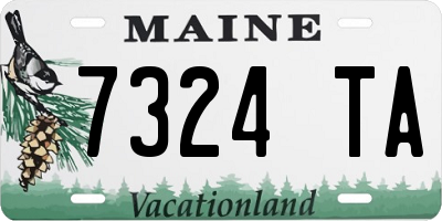 ME license plate 7324TA