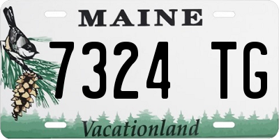 ME license plate 7324TG