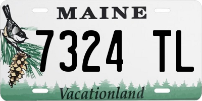 ME license plate 7324TL
