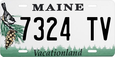 ME license plate 7324TV