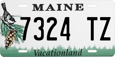 ME license plate 7324TZ
