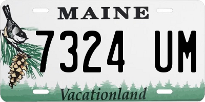 ME license plate 7324UM