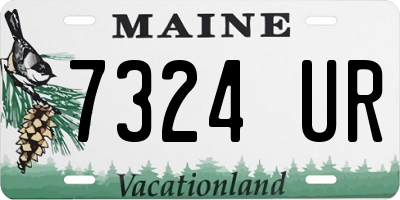 ME license plate 7324UR