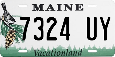 ME license plate 7324UY