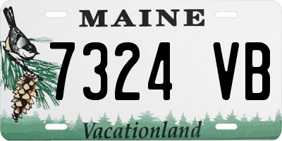 ME license plate 7324VB