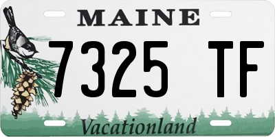 ME license plate 7325TF