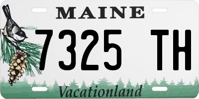 ME license plate 7325TH