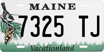 ME license plate 7325TJ