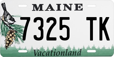 ME license plate 7325TK